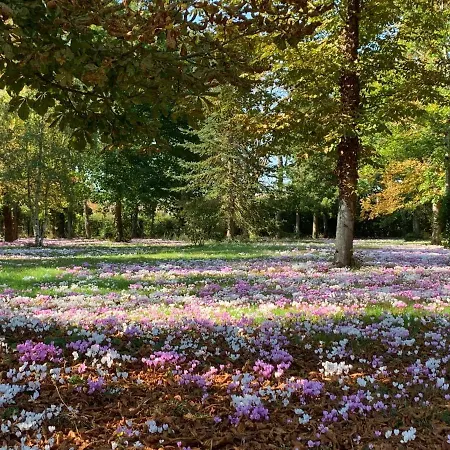 Domaine Des Tilleuls *